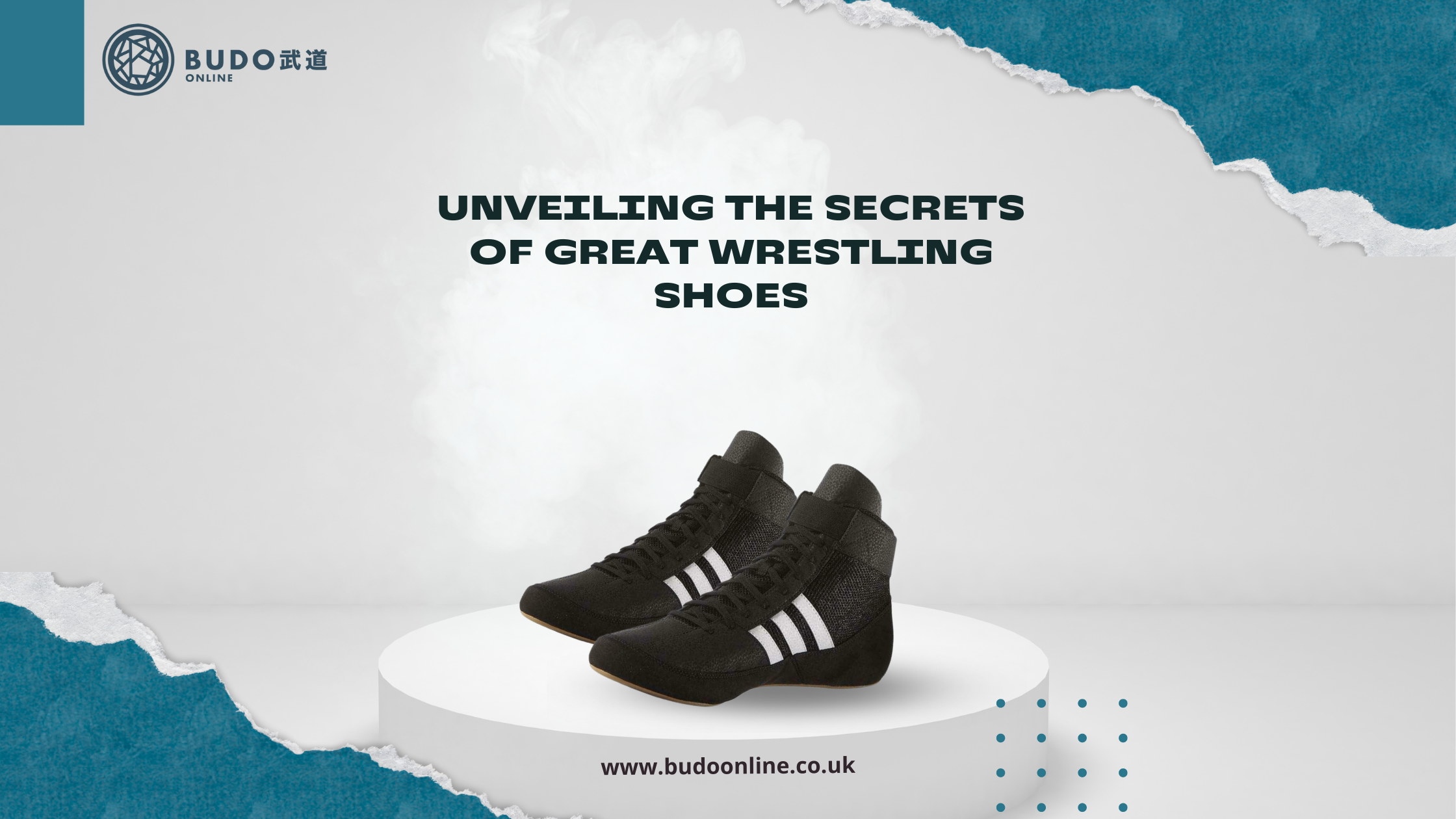 Wrestling Shoes for Men