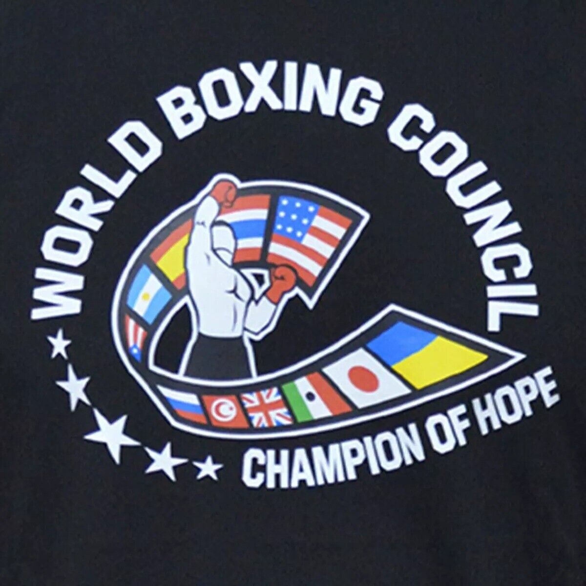 adidas WBC Boxing T-Shirt Mens
