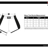 Fairtex X MTGP Muay Thai Shorts