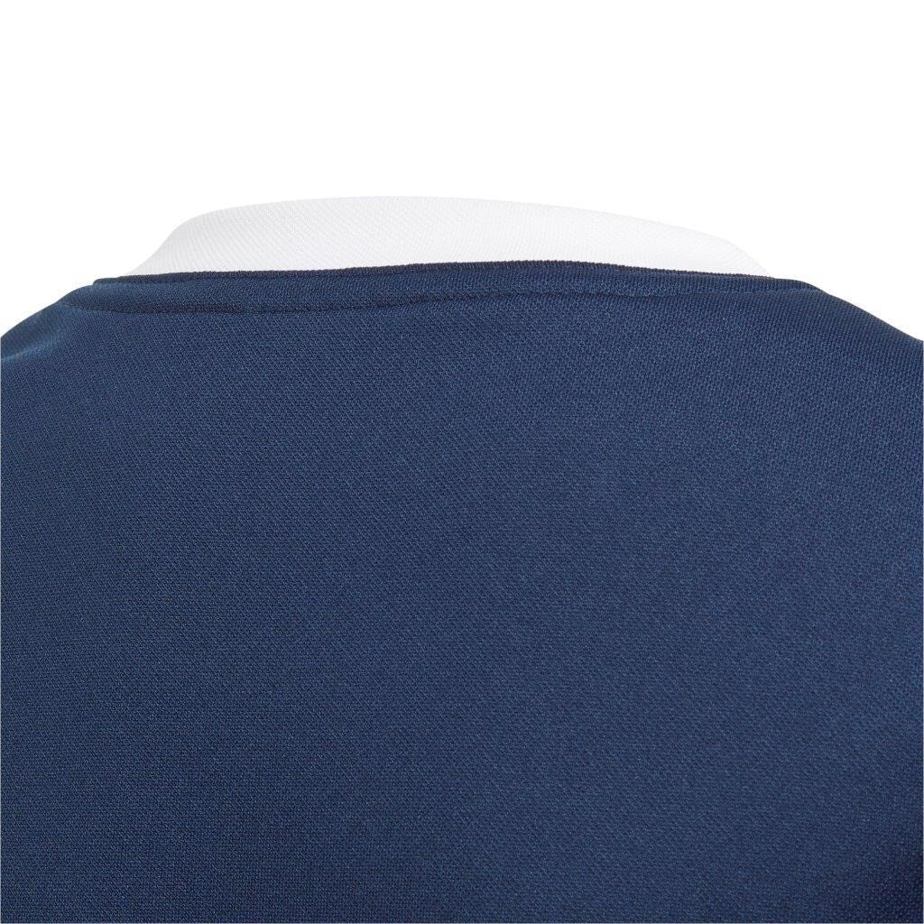 https://i.ebayimg.com/00/s/MTAyNFgxMDI0/z/lM0AAOSwBwVk571T/$_57.JPG?set_id=8800005007