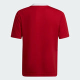 https://i.ebayimg.com/00/s/ODQwWDg0MA==/z/-csAAOSwTdVk3mOH/$_57.JPG?set_id=8800005007