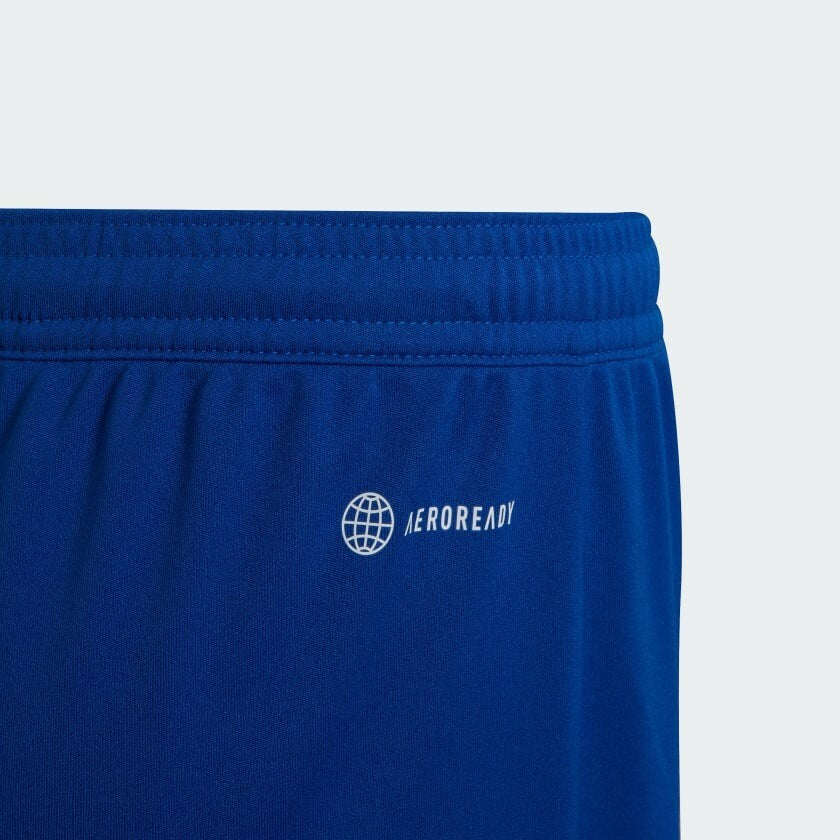 https://i.ebayimg.com/00/s/ODQwWDg0MA==/z/Jk4AAOSwDaJlXLnK/$_57.JPG?set_id=8800005007