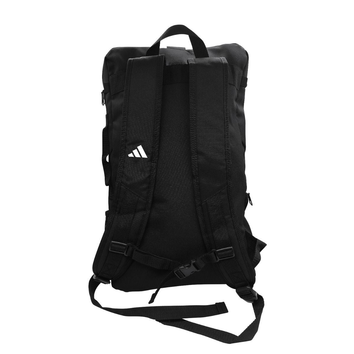 https://i.ebayimg.com/00/s/MTIwMFgxMjAw/z/HngAAeSw-~xqz2by/$_57.JPG?set_id=880000500F