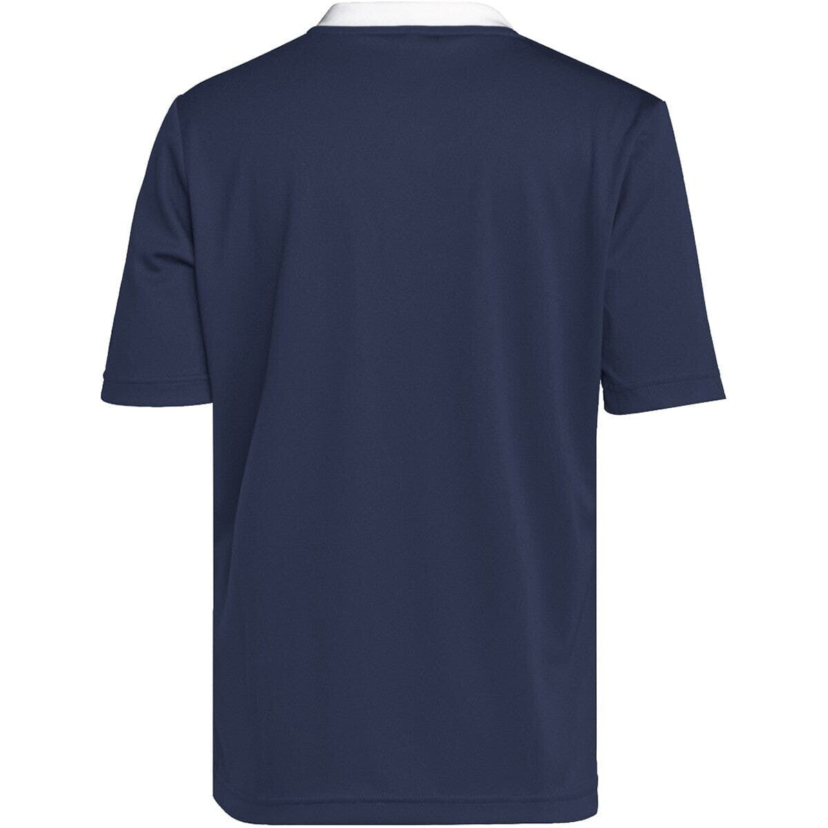 https://i.ebayimg.com/00/s/MTIwMFgxMjAw/z/Sm0AAOSwFHdmFpKz/$_57.JPG?set_id=8800005007