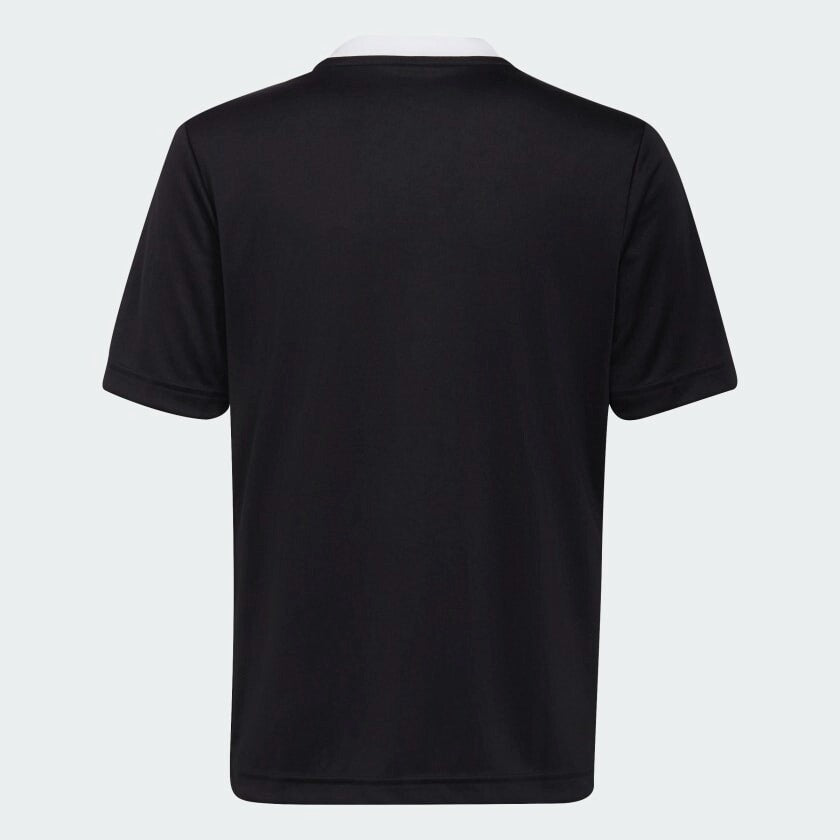 https://i.ebayimg.com/00/s/ODQwWDg0MA==/z/Yl4AAOSwaZ1lThh0/$_57.JPG?set_id=8800005007