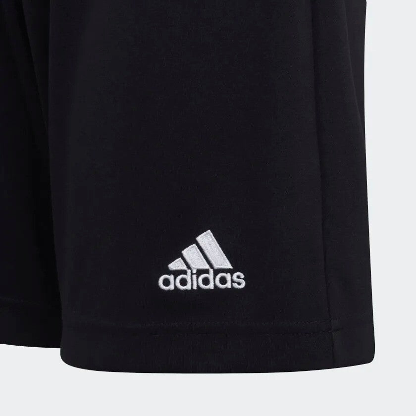 https://i.ebayimg.com/00/s/ODQwWDg0MA==/z/g58AAOSw0odi8COj/$_57.JPG?set_id=8800005007