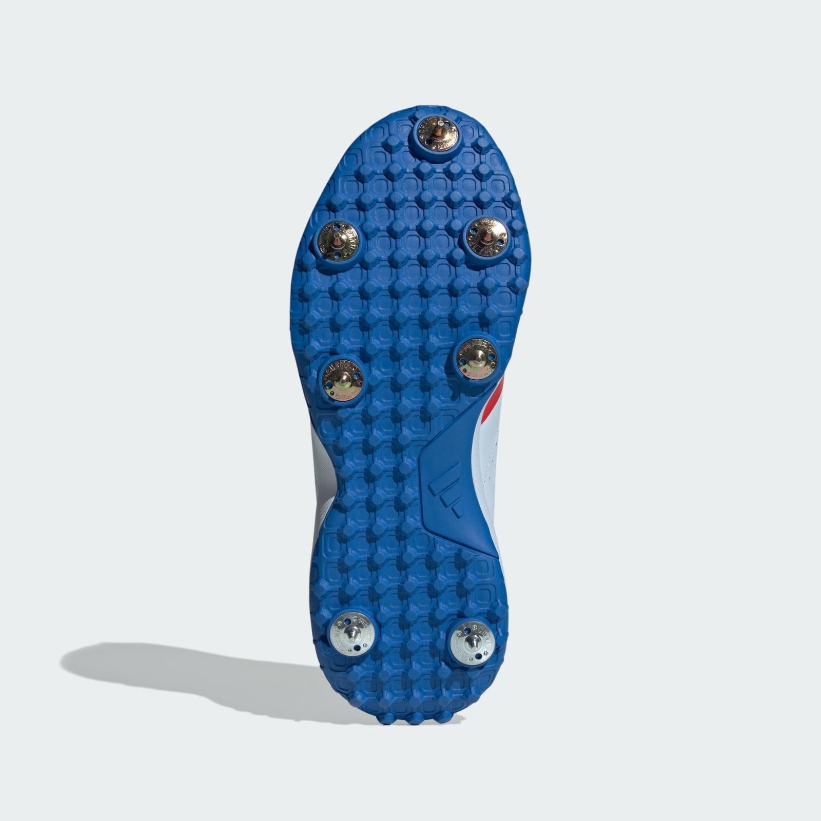 https://i.ebayimg.com/00/s/MTYwMFgxNjAw/z/EKQAAeSw86VqX8Wn/$_57.JPG?set_id=880000500F