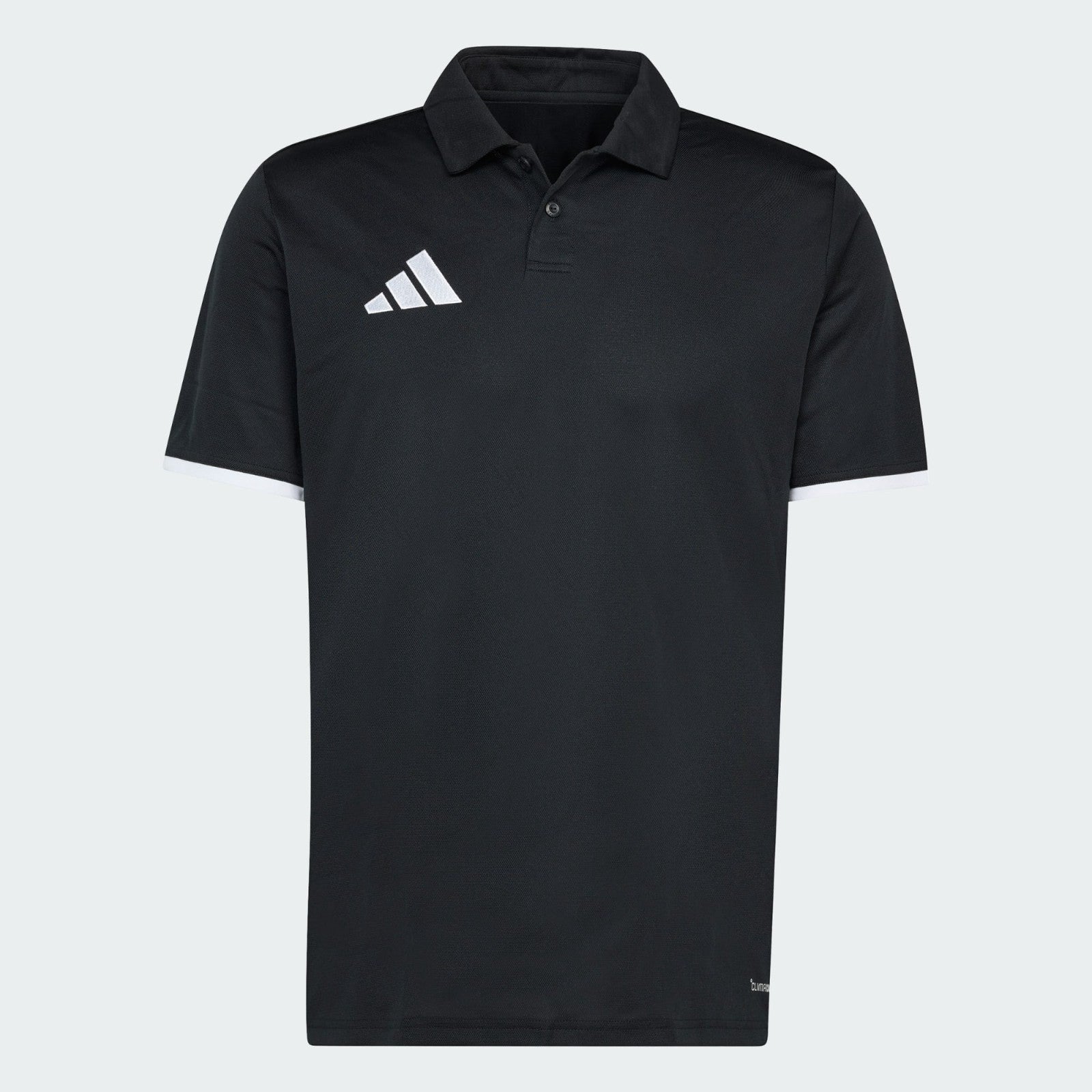 https://i.ebayimg.com/00/s/MTYwMFgxNjAw/z/Ni4AAeSwbG9qWqMX/$_57.JPG?set_id=880000500F