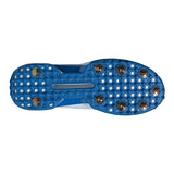 https://i.ebayimg.com/00/s/MTIwMFgxMjAw/z/TH8AAeSwYttqY58q/$_57.JPG?set_id=880000500F