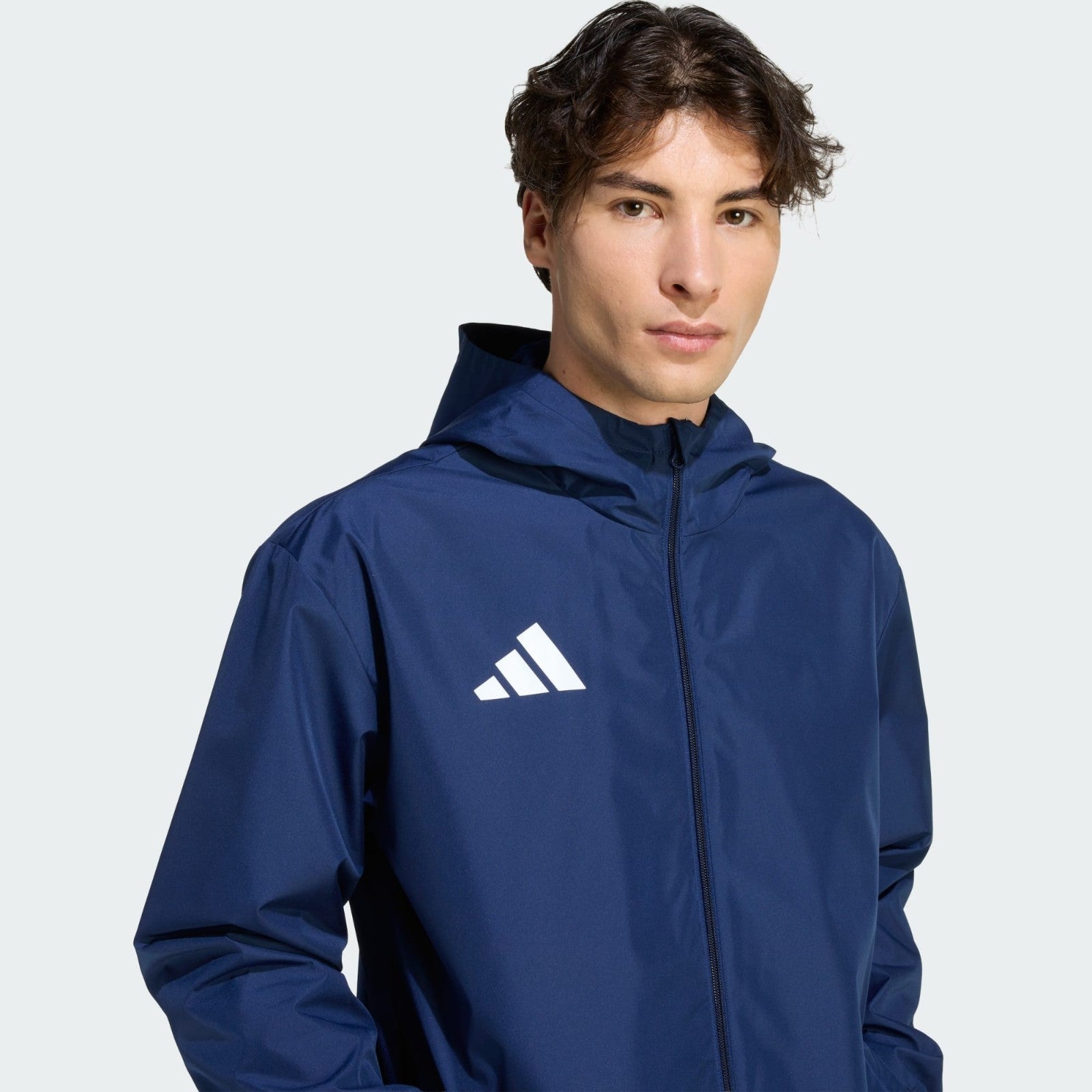 https://i.ebayimg.com/00/s/MTYwMFgxNjAw/z/NSAAAeSw0XBqY4uB/$_57.JPG?set_id=880000500F
