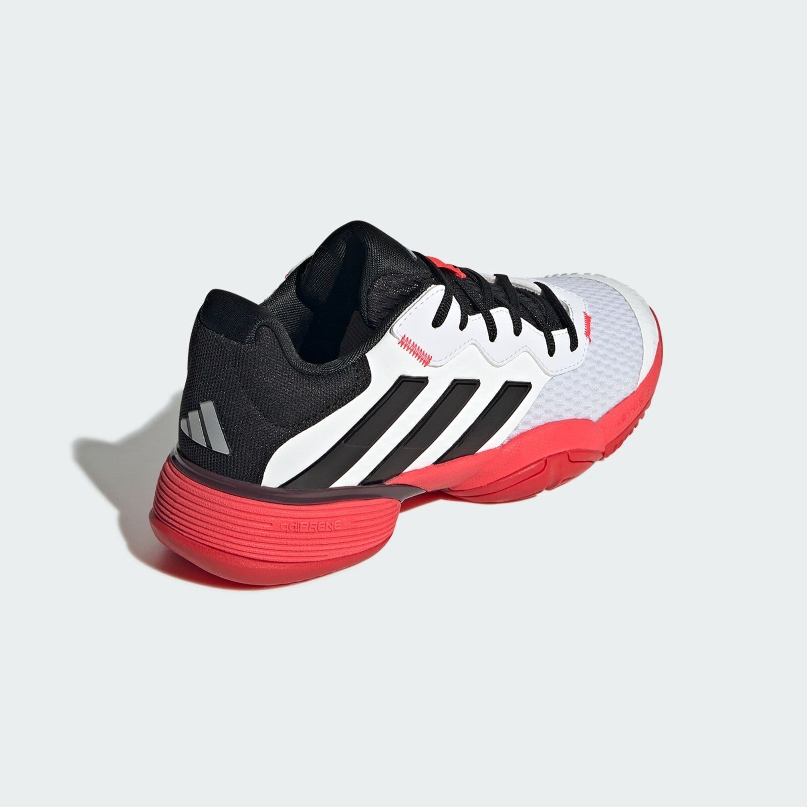 https://i.ebayimg.com/00/s/MTYwMFgxNjAw/z/WEkAAOSwBlZoHgfG/$_57.JPG?set_id=880000500F
