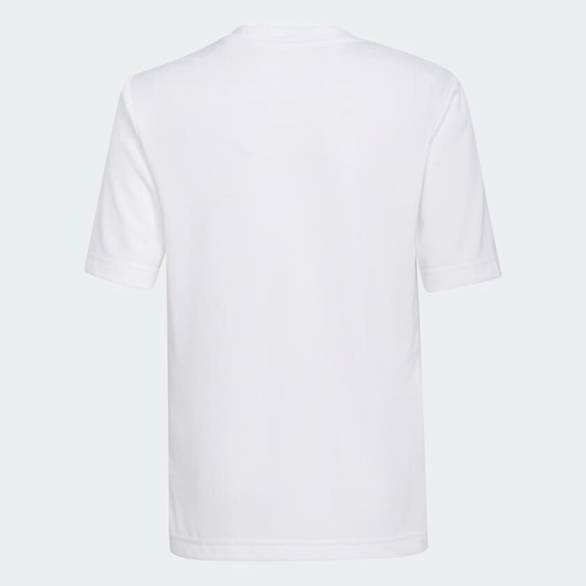 https://i.ebayimg.com/00/s/ODQwWDg0MA==/z/RDUAAOSwCXpkwRAO/$_57.JPG?set_id=8800005007