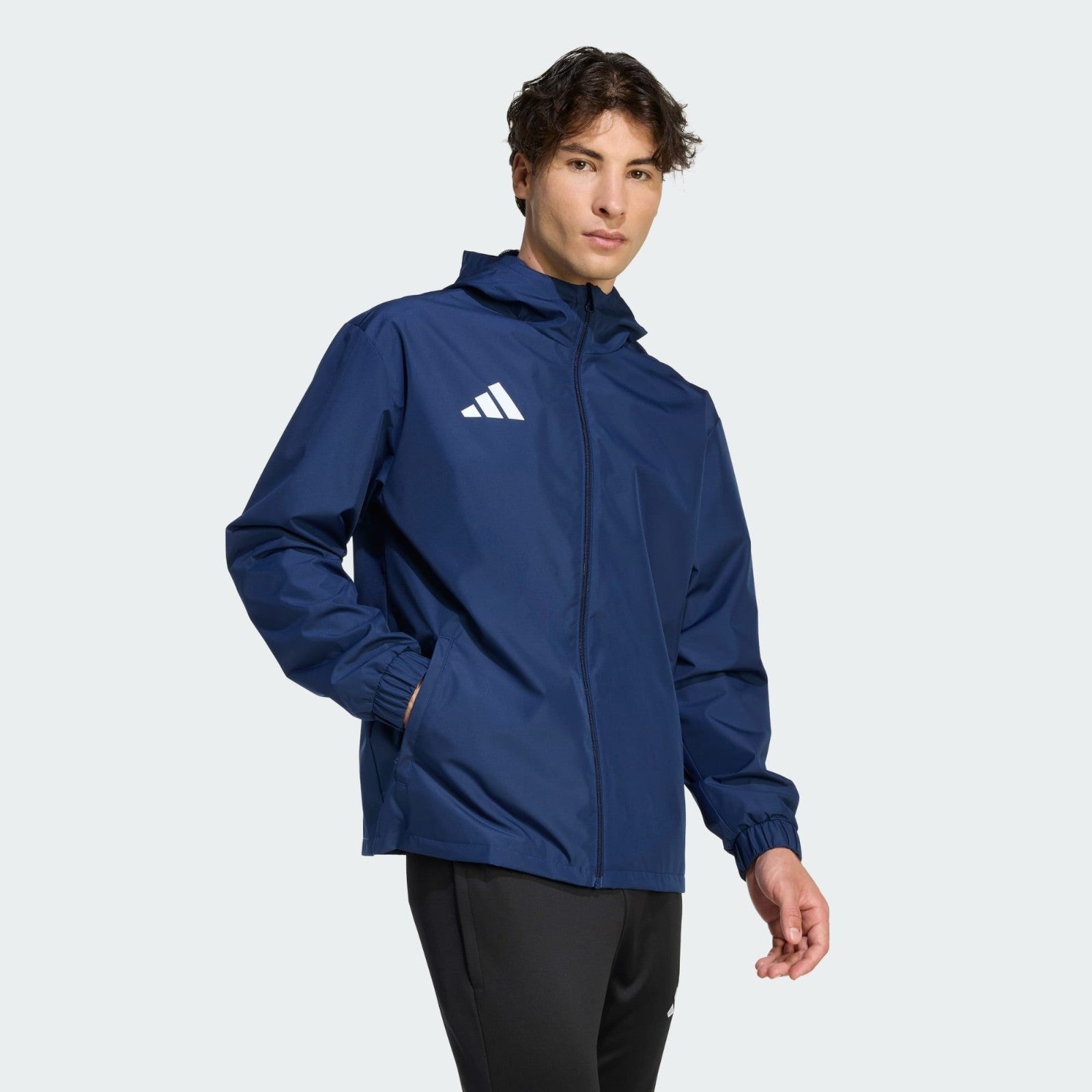 https://i.ebayimg.com/00/s/MTYwMFgxNjAw/z/0toAAeSwIoZqY4uB/$_57.JPG?set_id=880000500F