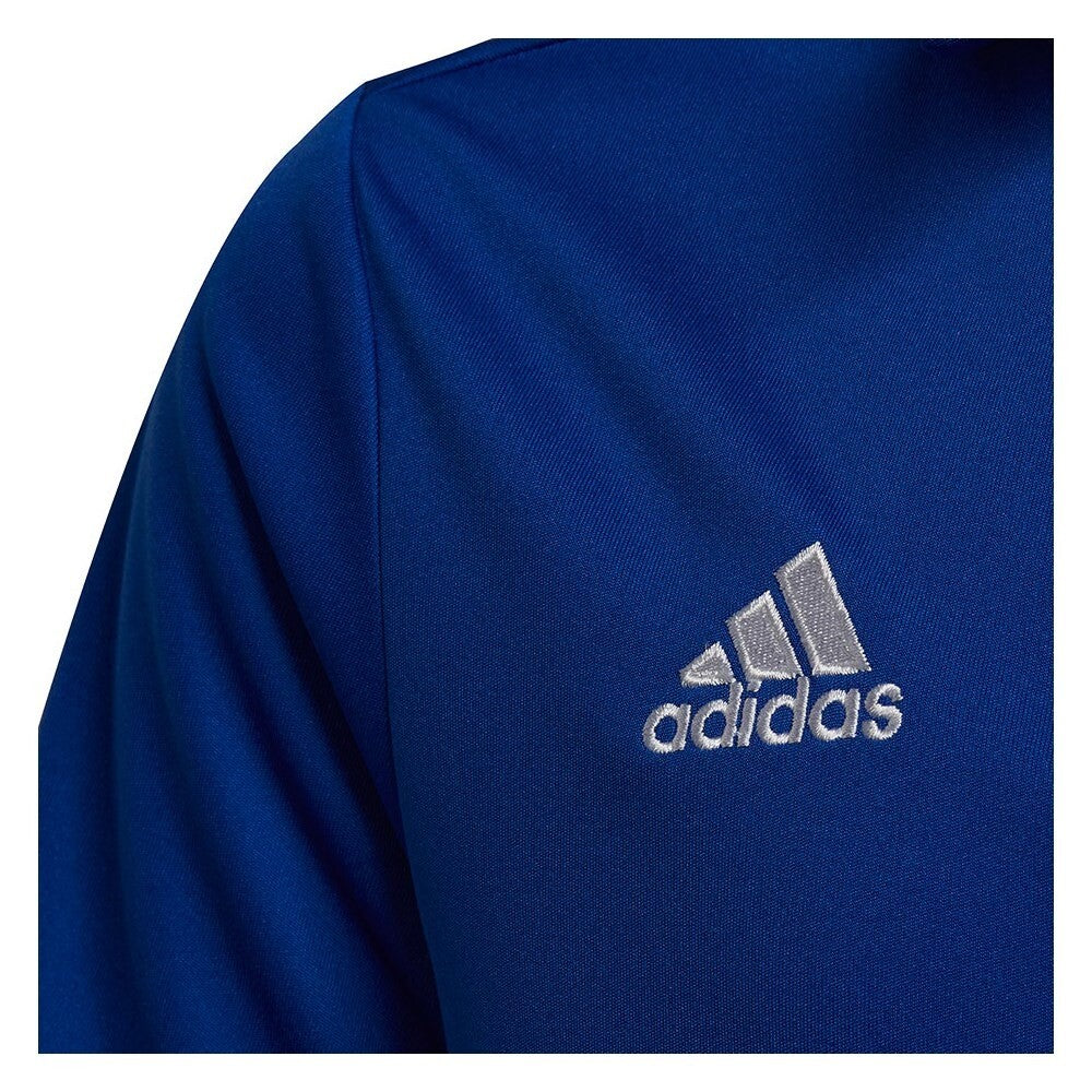 https://i.ebayimg.com/00/s/MTAwMFgxMDAw/z/x1UAAOSwEoRlOXXw/$_57.JPG?set_id=8800005007
