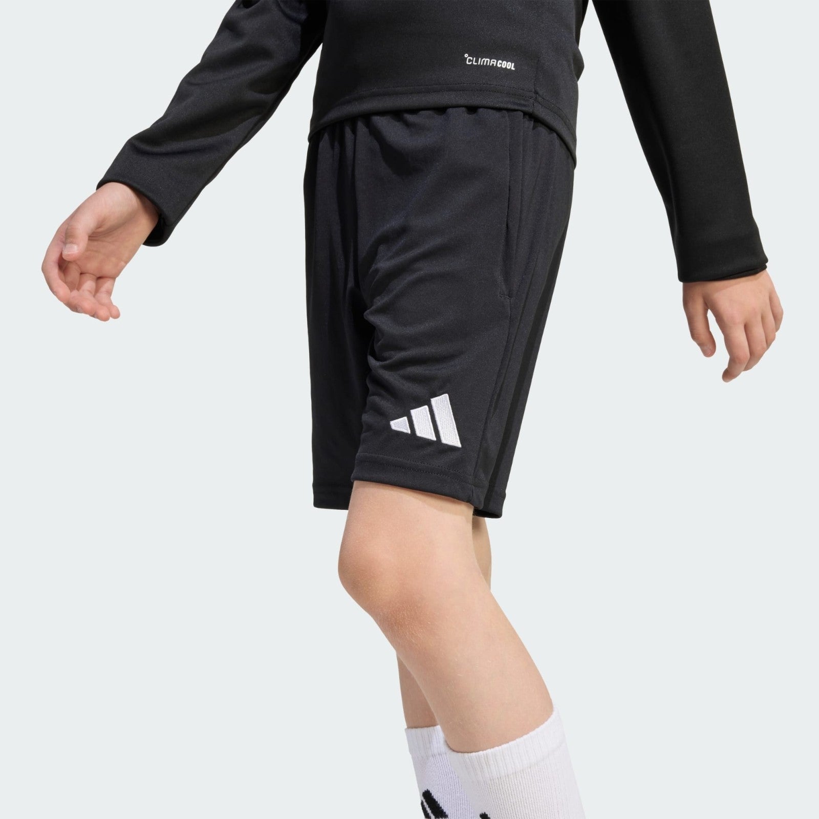 https://i.ebayimg.com/00/s/MTYwMFgxNjAw/z/5XEAAeSwLQFqX4Dv/$_57.JPG?set_id=880000500F