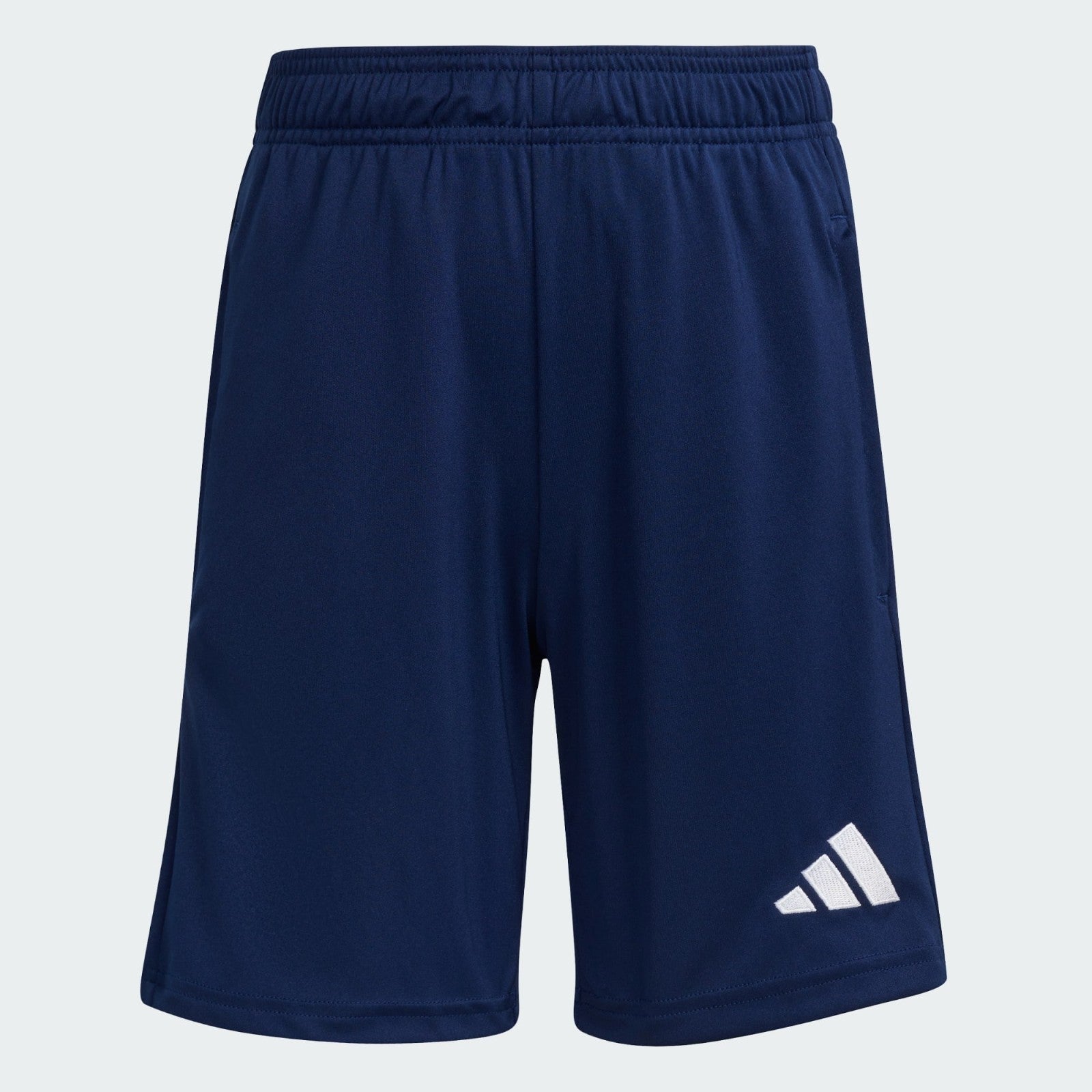https://i.ebayimg.com/00/s/MTYwMFgxNjAw/z/i4UAAeSwYlpqX4FD/$_57.JPG?set_id=880000500F