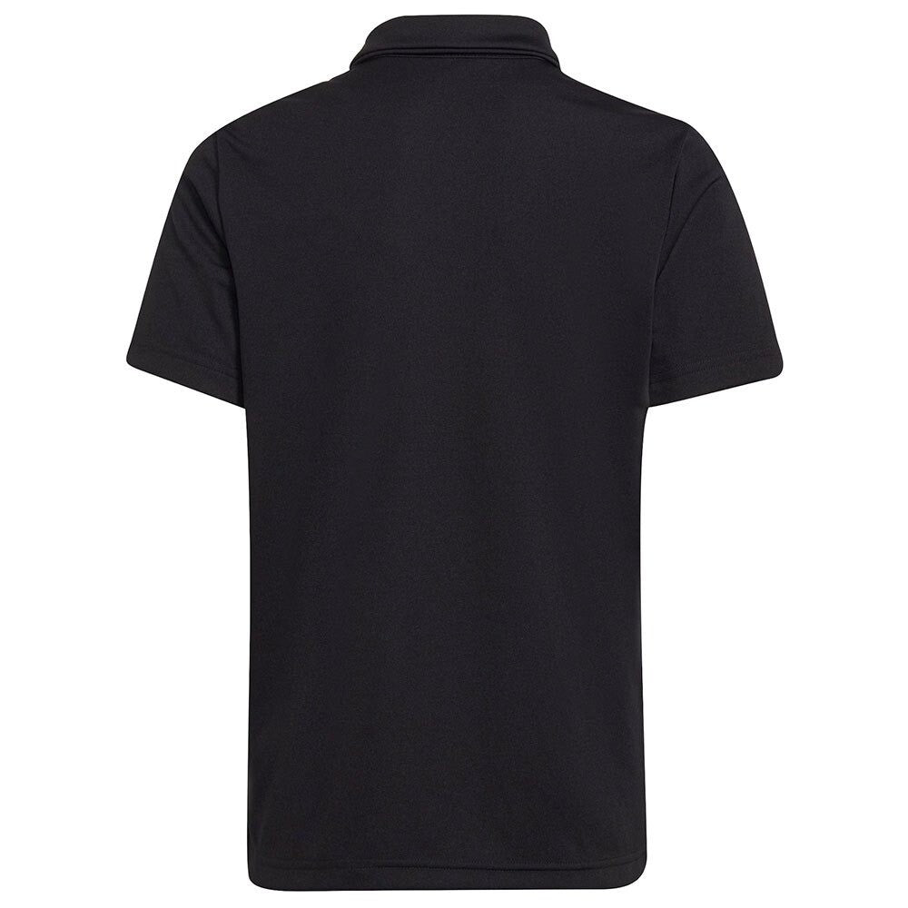https://i.ebayimg.com/00/s/MTAwMFgxMDAw/z/XeIAAOSwsXdlMn2K/$_57.JPG?set_id=8800005007