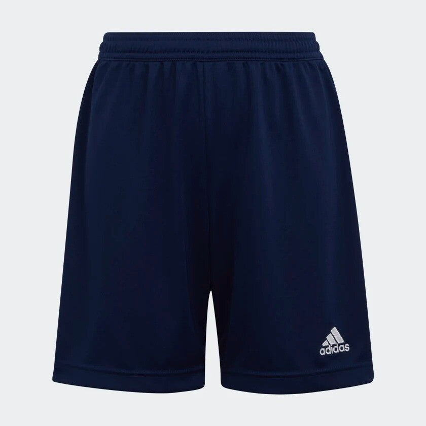 https://i.ebayimg.com/00/s/ODQwWDg0MA==/z/5JUAAOSw6nFi8COi/$_57.JPG?set_id=8800005007
