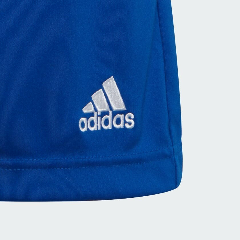 https://i.ebayimg.com/00/s/ODQwWDg0MA==/z/pAkAAOSwWJZlXLnM/$_57.JPG?set_id=8800005007