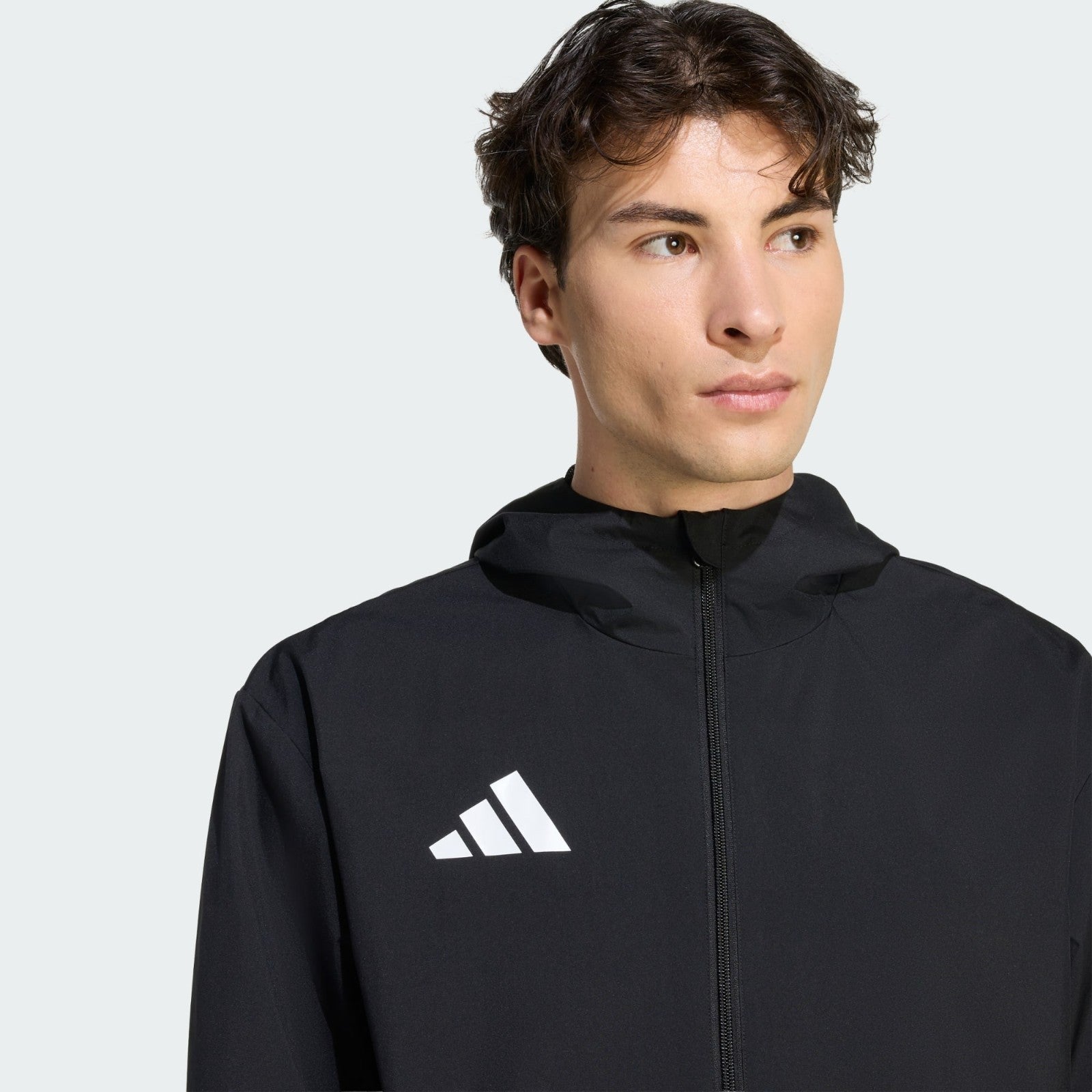 https://i.ebayimg.com/00/s/MTYwMFgxNjAw/z/d6IAAeSw2JtqY4uB/$_57.JPG?set_id=880000500F
