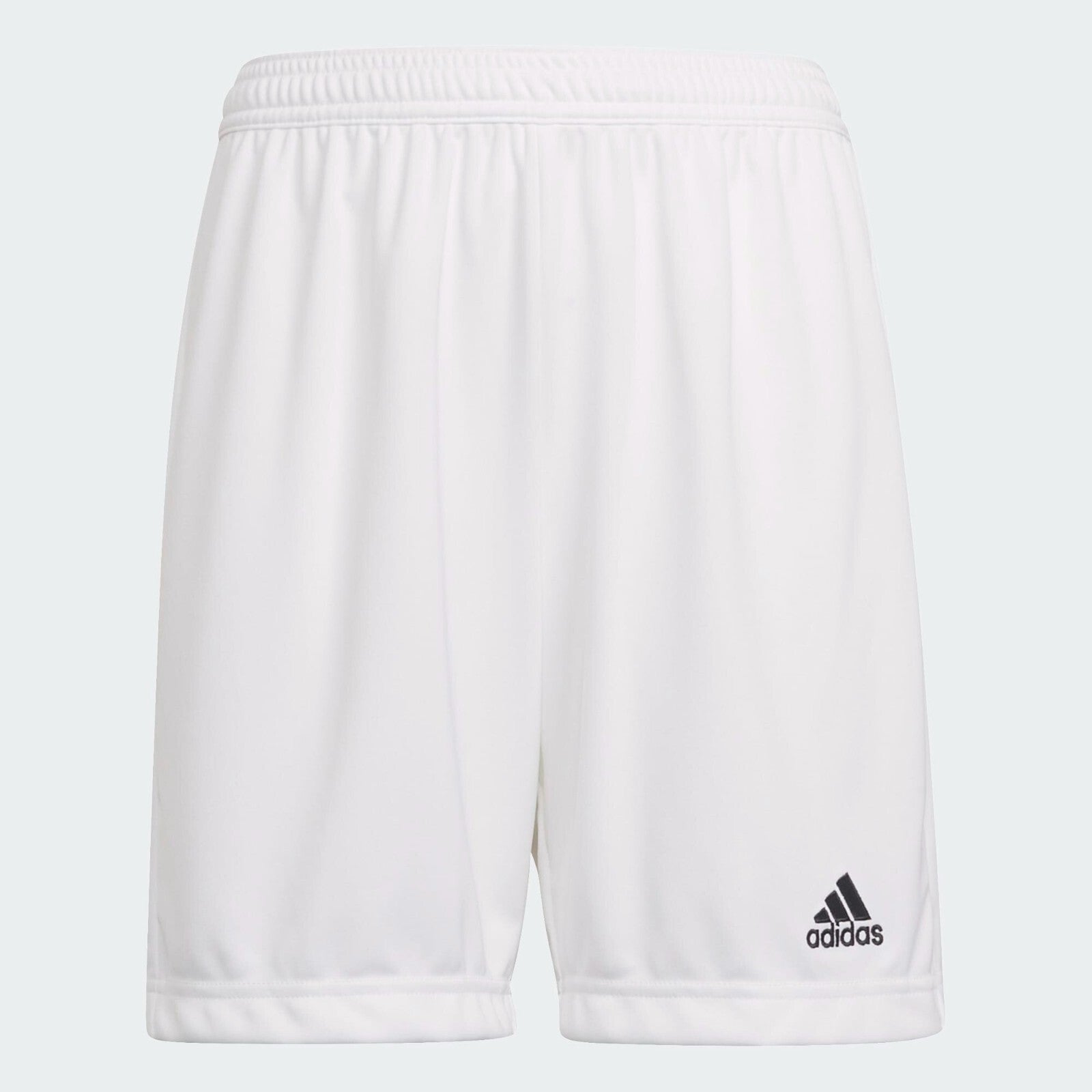 https://i.ebayimg.com/00/s/MTYwMFgxNjAw/z/HoAAAOSw5Nhi8CYB/$_57.JPG?set_id=8800005007