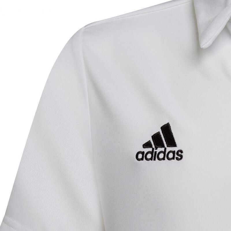 https://i.ebayimg.com/00/s/ODAwWDgwMA==/z/iwUAAOSw3DVk3nZl/$_57.JPG?set_id=8800005007