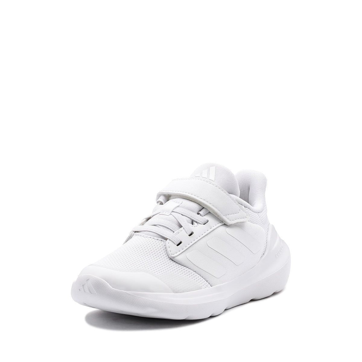 https://i.ebayimg.com/00/s/MTIwMFgxMjAw/z/gPMAAeSwrF5oXrkz/$_57.JPG?set_id=880000500F