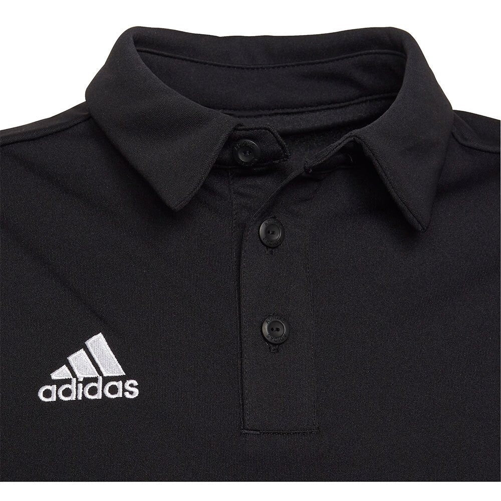 https://i.ebayimg.com/00/s/MTAwMFgxMDAw/z/YRQAAOSwa2FlMn2J/$_57.JPG?set_id=8800005007