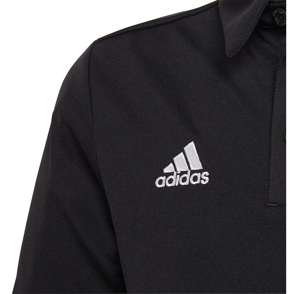 https://i.ebayimg.com/00/s/MTAwMFgxMDAw/z/M4IAAOSwqLplMn2I/$_57.JPG?set_id=8800005007