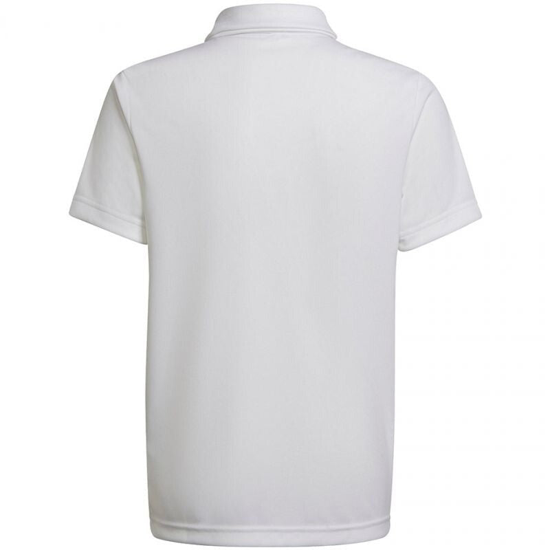 https://i.ebayimg.com/00/s/ODAwWDgwMA==/z/BIIAAOSw2bZk3nZm/$_57.JPG?set_id=8800005007