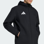 https://i.ebayimg.com/00/s/MTYwMFgxNjAw/z/FBMAAeSwtPhqY4uB/$_57.JPG?set_id=880000500F