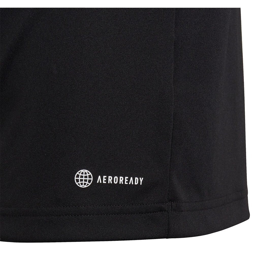 https://i.ebayimg.com/00/s/MTAwMFgxMDAw/z/6OwAAOSw9LJlMn2H/$_57.JPG?set_id=8800005007
