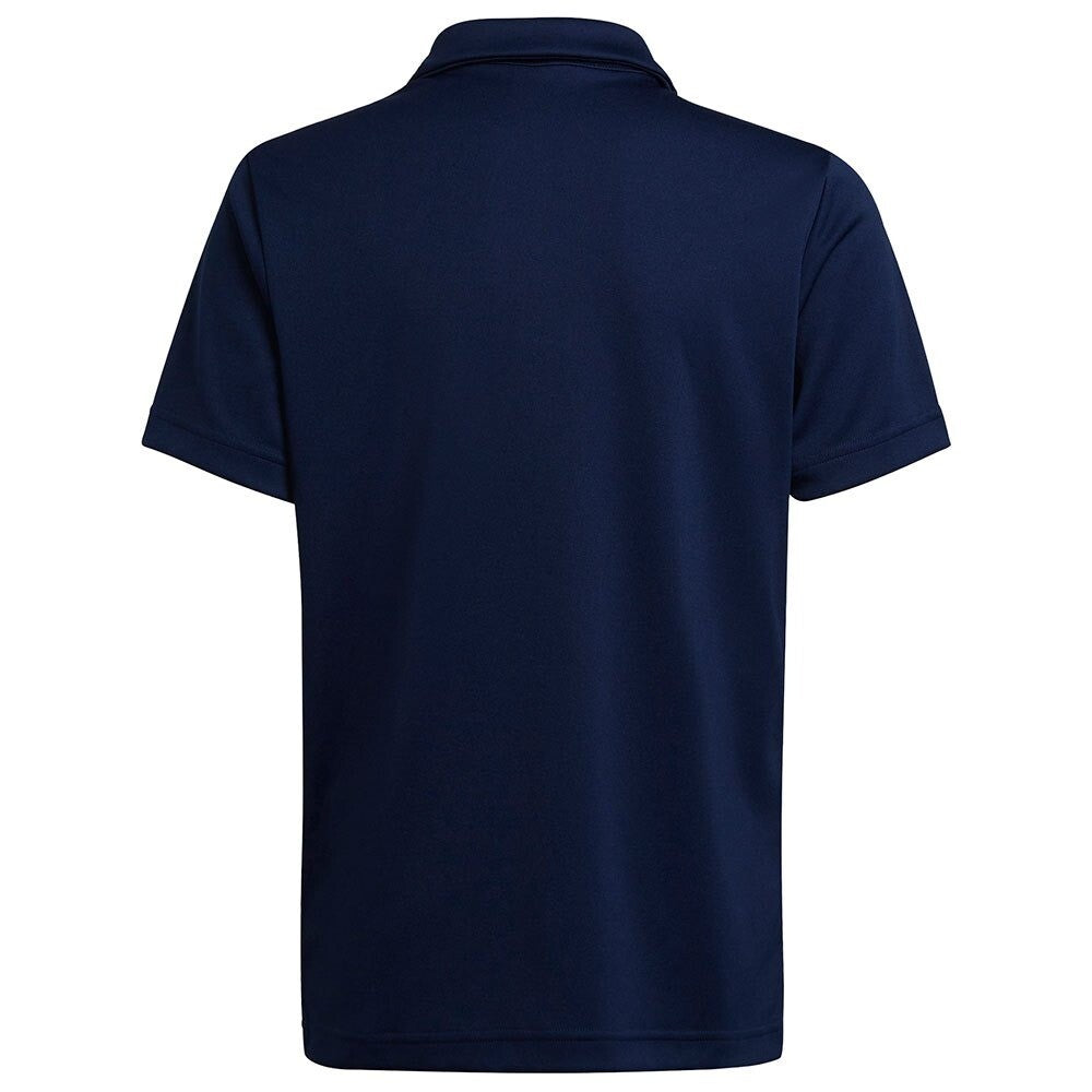 https://i.ebayimg.com/00/s/MTAwMFgxMDAw/z/zX4AAOSwfBRlFIIq/$_57.JPG?set_id=8800005007