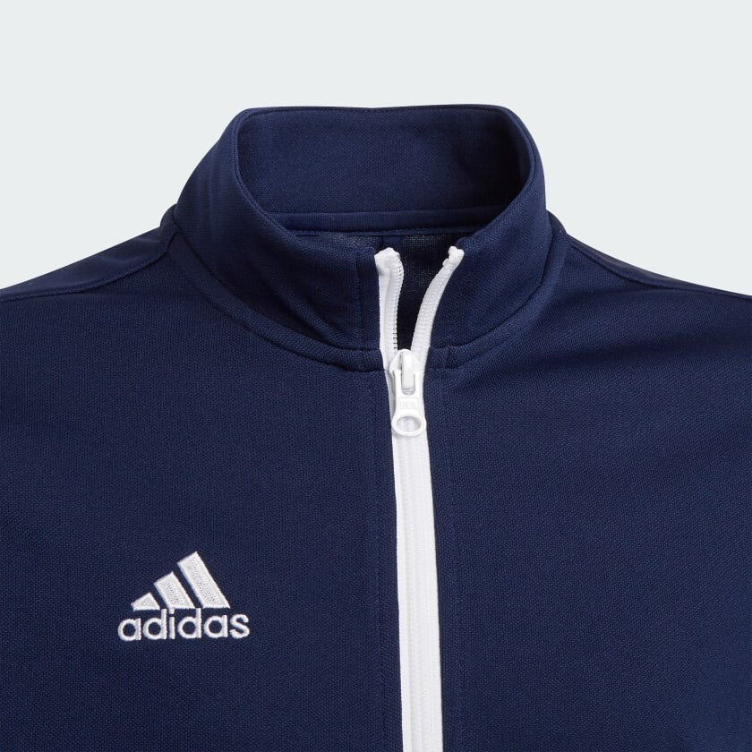 https://i.ebayimg.com/00/s/ODQwWDg0MA==/z/VHIAAOSwUWVk50fC/$_57.JPG?set_id=8800005007