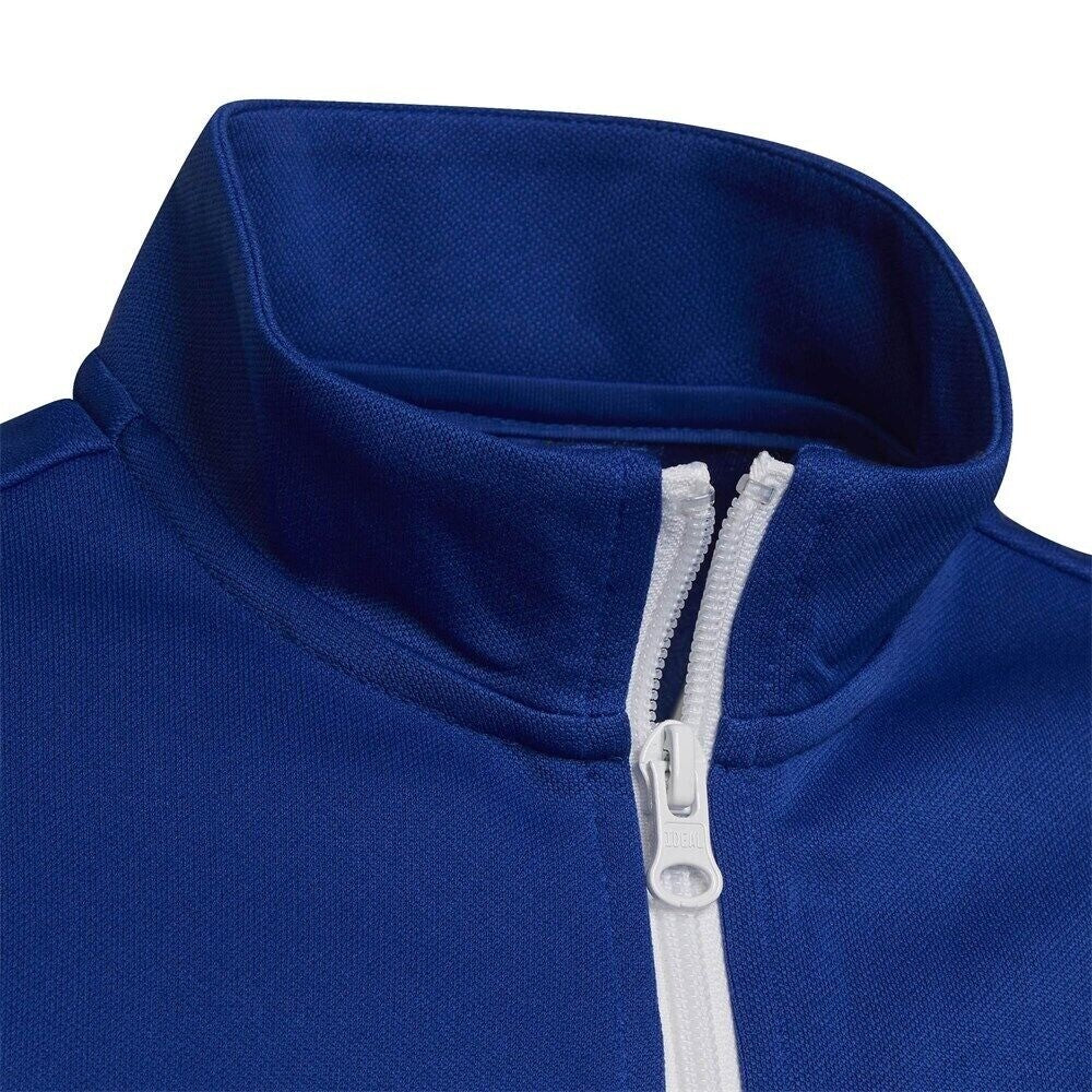 https://i.ebayimg.com/00/s/MTAwMFgxMDAw/z/gvMAAOSwxddlU49j/$_57.JPG?set_id=8800005007
