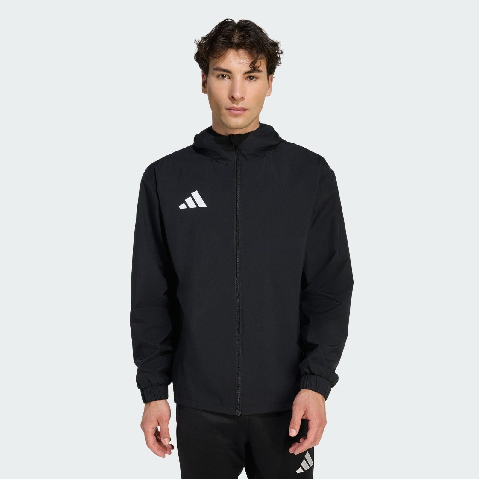 https://i.ebayimg.com/00/s/MTYwMFgxNjAw/z/tlEAAeSwtxVqY4uB/$_57.JPG?set_id=880000500F