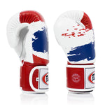 Fairtex BGV1-T Thai Pride Leather Boxing Gloves Muay Thai