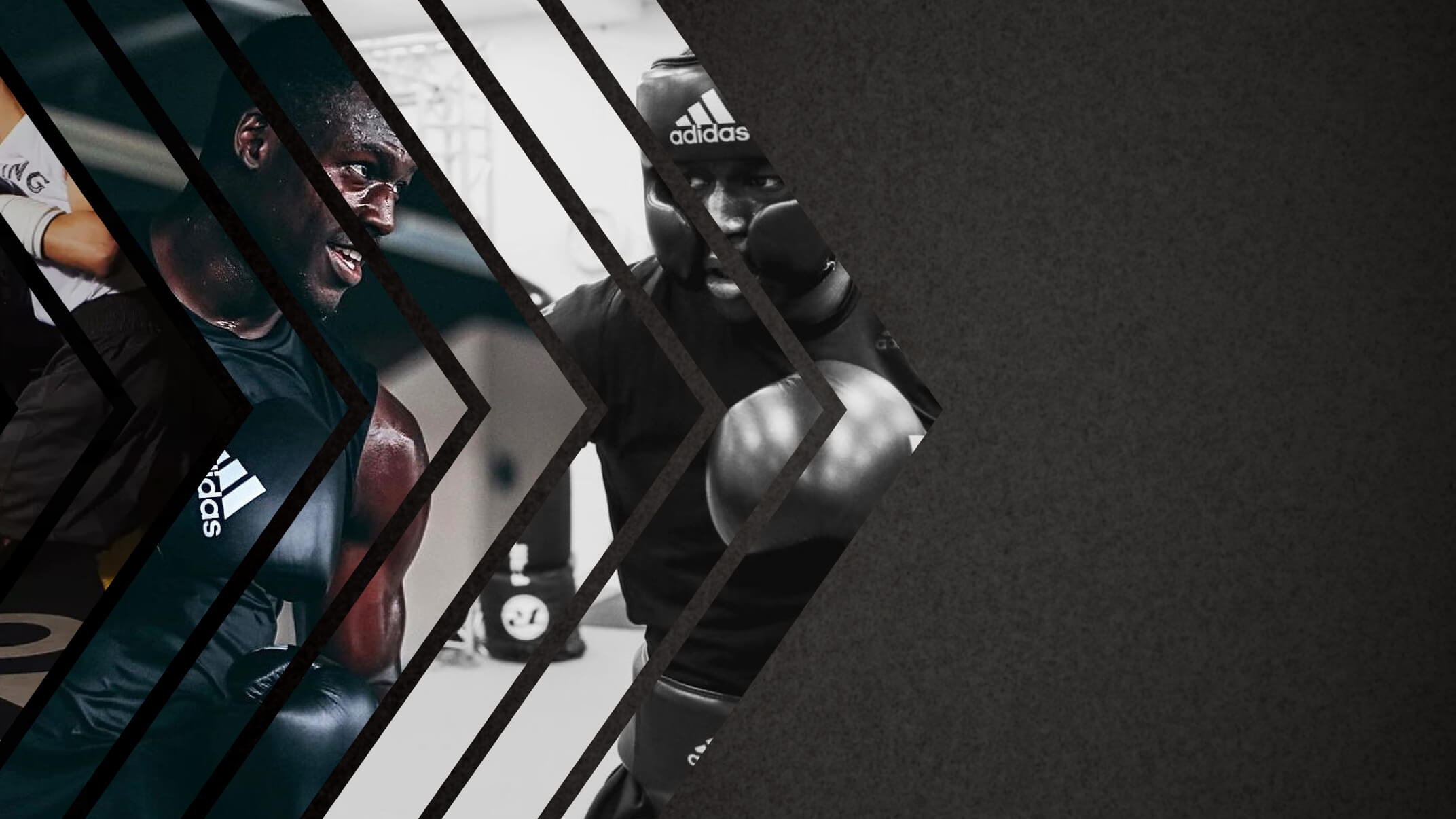 adidas-boxing-gloves-and-shorts-banner